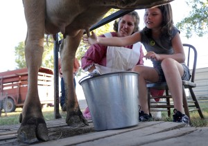 Kellie Thelander instructs Alaina Diggs a fourth grader at Eisenhower Elementary on how to milk her Jersey Cow by hand on Friday, Oct. 8, 2010 during an educational day at the Central Kansas Flywheels Yesteryear Museum educational day. The event promoted hands on expereinces in agriculture from various time periods of the past. (photo by Jeff Cooper/ Salina Journal)